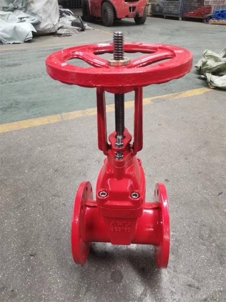 DN50-500明桿防護閥