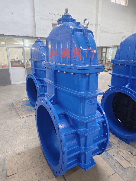 軟密封閥門(mén)廠(chǎng)家DN800